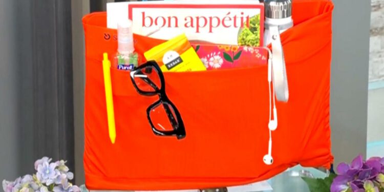 CBS Mornings Deals: Save up to 30% on an inflight organizer