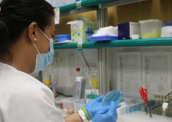 Canary Islands Report First Oropouche Virus Case in Traveler from Cuba