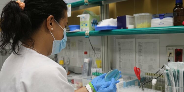 Canary Islands Report First Oropouche Virus Case in Traveler from Cuba