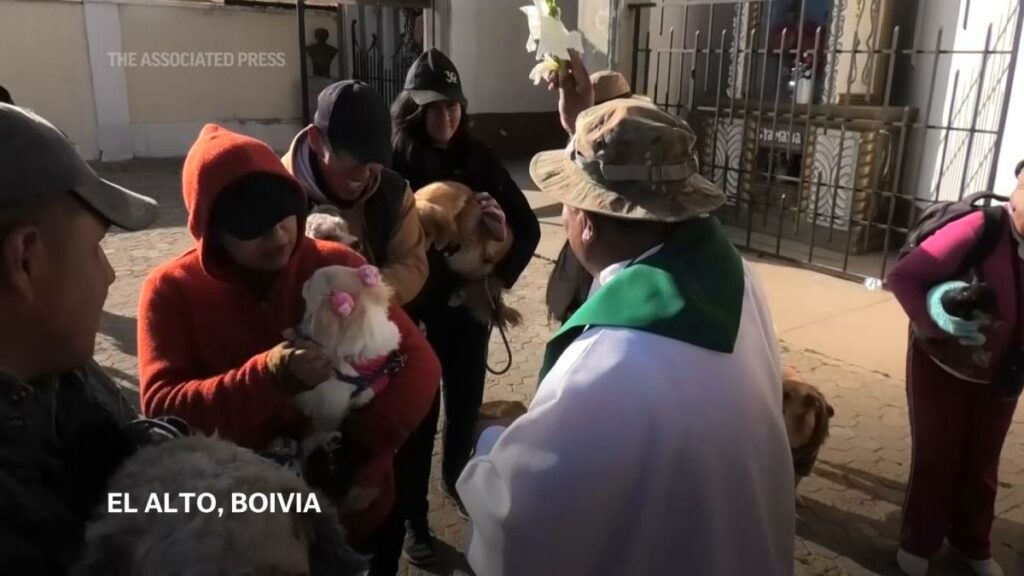 Catholics in Bolivia take their dogs to be blessed on day of Saint Roch, the patron saint of dogs