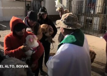 Catholics in Bolivia take their dogs to be blessed on day of Saint Roch, the patron saint of dogs