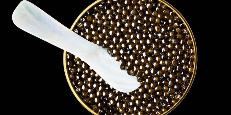 Caviar Exports From Latin America Set to Jump This Year