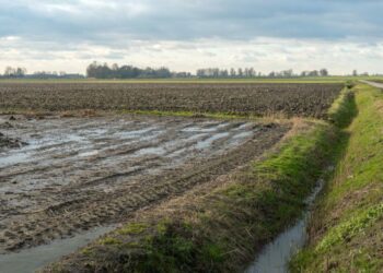 Central North America harvest may trend wetter