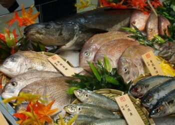 China has turned to South America since banning Japan seafood a year ago