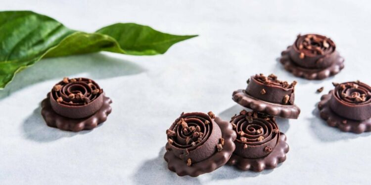 Chocolate Maker Barry Callebaut Halts Production At Mexico Plant