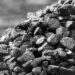 Coal Exports