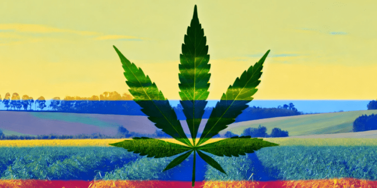 Colombia's Cannabis Exports Expand As President Petro Presses Congress To Legalize Recreational Marijuana