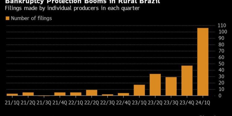 Creditors Struggle to Seize Land in Brazil as Bankruptcies Surge