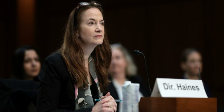 Criminal meddling in US elections and protests