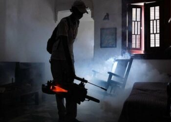 Cuba faces uphill battle as Oropouche virus spreads | U.S. & World