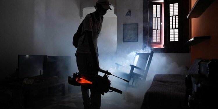 Cuba faces uphill battle as Oropouche virus spreads | U.S. & World