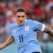 Darwin Nunez banned for five international matches following Copa America brawl