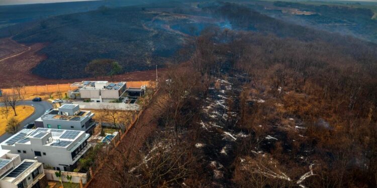 Dozens of cities on high alert, wildfires, brazil, high alert, sao paulo, two dead, world news, latest news