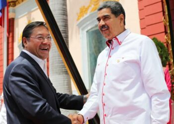 El gobierno de Bolivia felicitó al dictador Nicolás Maduro y respaldó la ratificación del TSJ al fraude electoral en Venezuela