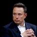 Elon Musk targets Kamala Harris amid X Brazil shutdown: ’Will happen in America’