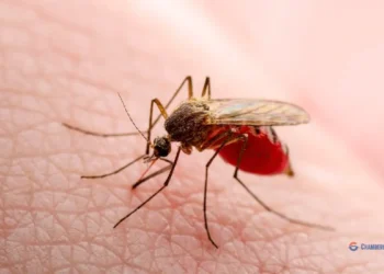 Emerges as Global Health Concern