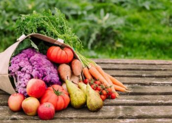 FAO examines innovative financing to tackle regional hunger