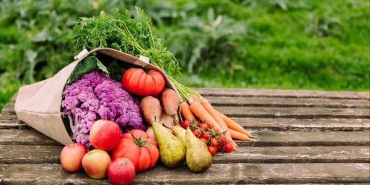 FAO examines innovative financing to tackle regional hunger