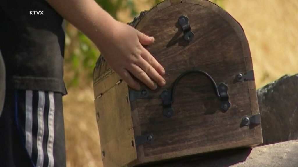 Family finds treasure chest