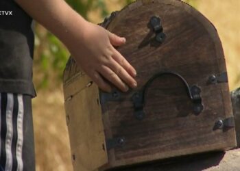 Family finds treasure chest
