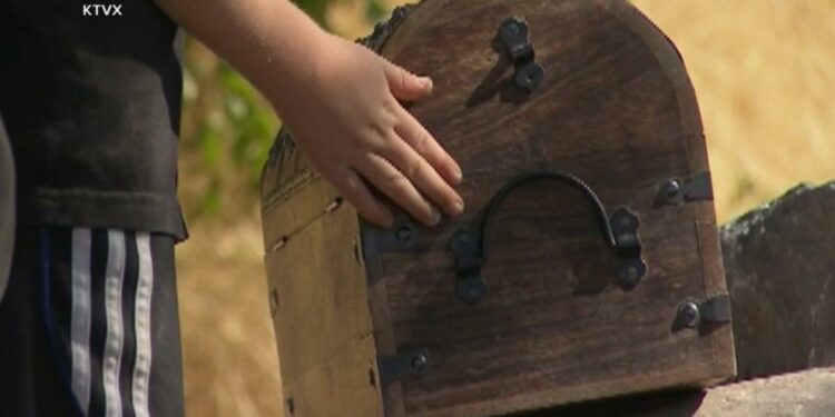 Family finds treasure chest