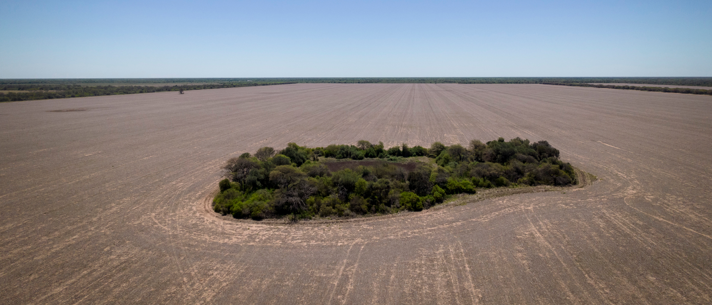 Isolated patches of forest caused by deforestation disrupt the biological corridors of many animals, like the jaguar. Credit: Periodistas por el Planeta/Abogados Ambientalistas