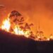 Fire in Ecuador scorches nearly 4,000 hectares of forest and grasslands