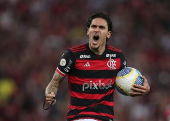 Flamengo And Botafogo Lead The Title Charge In Brazil