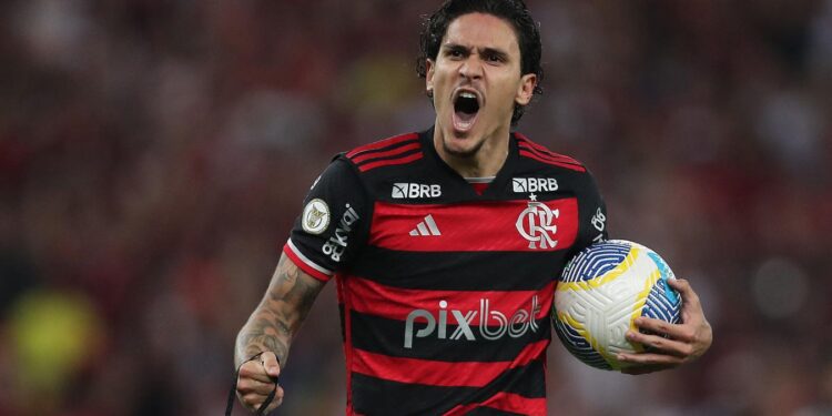 Flamengo And Botafogo Lead The Title Charge In Brazil