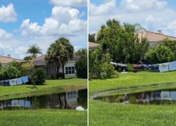 "Fresh Off the Boat from Cuba"