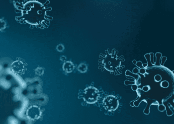 From 1st Death In Brazil To Outbreak In Europe | All You Need To Know About The 'Sloth Fever Virus'