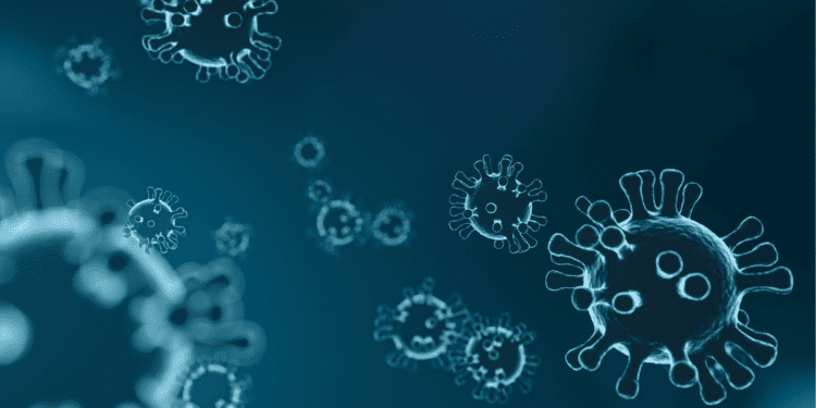 From 1st Death In Brazil To Outbreak In Europe | All You Need To Know About The 'Sloth Fever Virus'