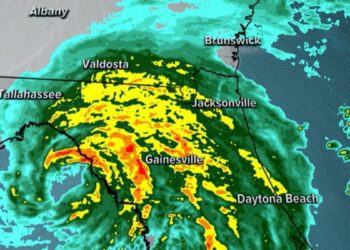 Gainesville mayor discusses Hurricane Debby making landfall