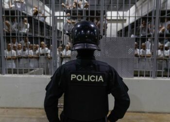 Gangland Killings: Violent Nonstate Actors and Naive Policies Are Destabilizing the Globe