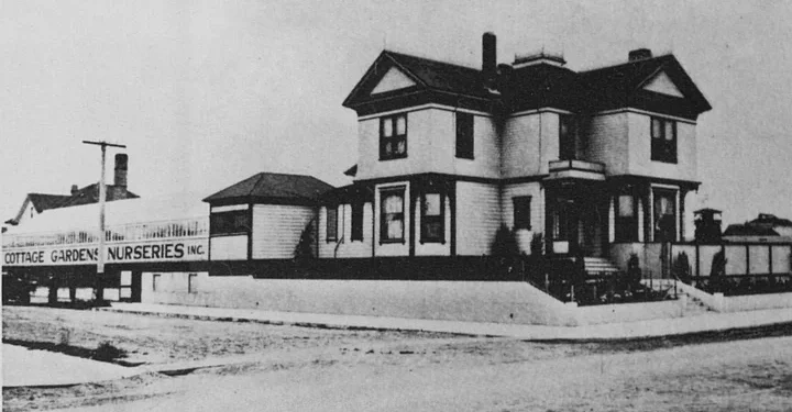 HUMBOLDT HISTORY: He Turned Humboldt County Into the 'Holland of America' With His Flower Farms ... Until the Business Went Bankrupt (100 Years Ago) | Lost Coast Outpost