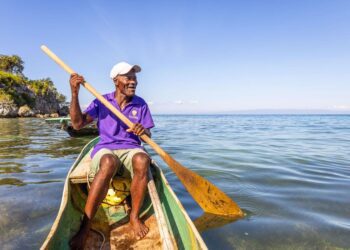 How Can Saving Mangroves Help Improve Lives In Haiti?