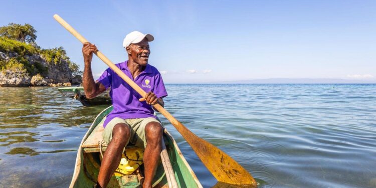 How Can Saving Mangroves Help Improve Lives In Haiti?