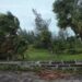 Hurricane Ernesto batters Bermuda