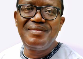 Impacted lives seeking freedom for all humanity, By Owei Lakemfa