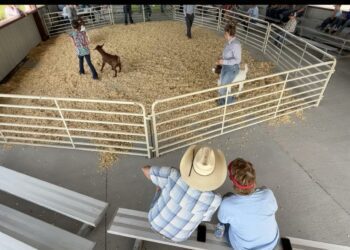 In far reaches of the U.S., Democrats hang on as endangered species