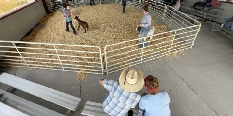 In far reaches of the U.S., Democrats hang on as endangered species