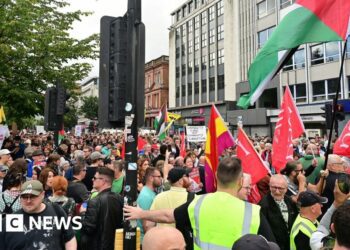 In pictures: Protestors and police at Belfast City Hall