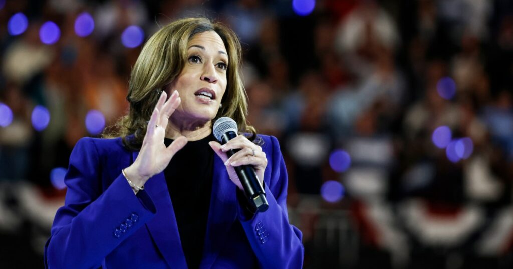 Kamala Harris weaves her life story into a vision for America as she accepts Democratic nomination