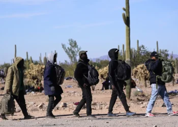 Kamala has a record on immigration