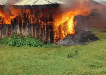OPDP Ogiek home on fire taken on Tuesday 7th November