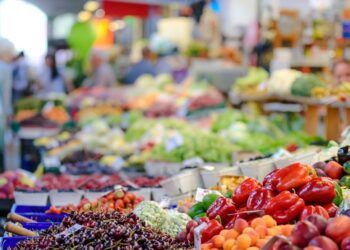 Latin America and the Caribbean launch first regional eco-labeling programme