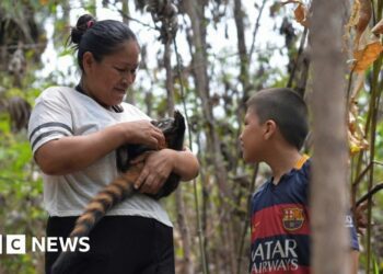 Locals care for animals affected by blazes