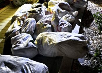 Million Dollar Drug Bust