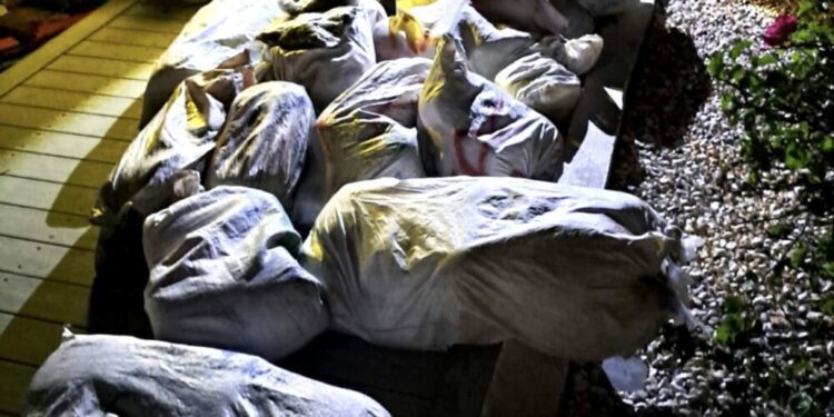 Million Dollar Drug Bust