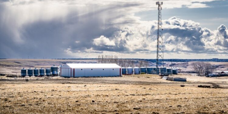 North America Leads the Open RAN Revolution, says Dell’Oro Group